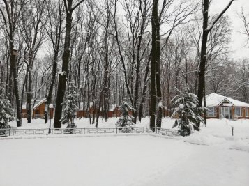 Зима